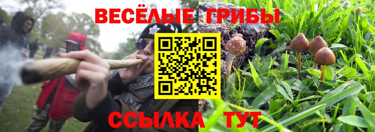 Псилоцибиновые грибы Psilocybe  Вход с VPN  Барнаул 